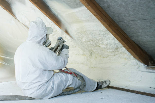 Best Insulation for New Construction  in Waldo, FL